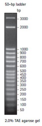 [70538-3] SIGMA-ALDRICH MARCADOR PERFECT DNA 50 pb, FORMATO LISTO PARA USAR - 100RX