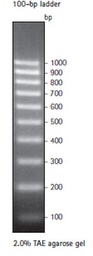 [70539-3] SIGMA-ALDRICH MARCADOR PERFECT DNA 100 pb, NOVAGEN, FORMATO LISTO PARA CARGAR - 100 RX